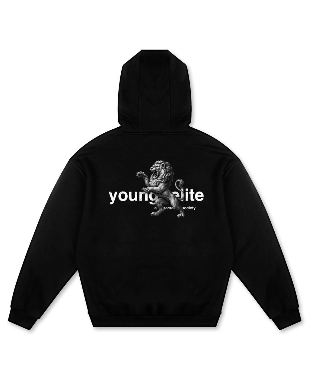 Lions Hoodie image 1