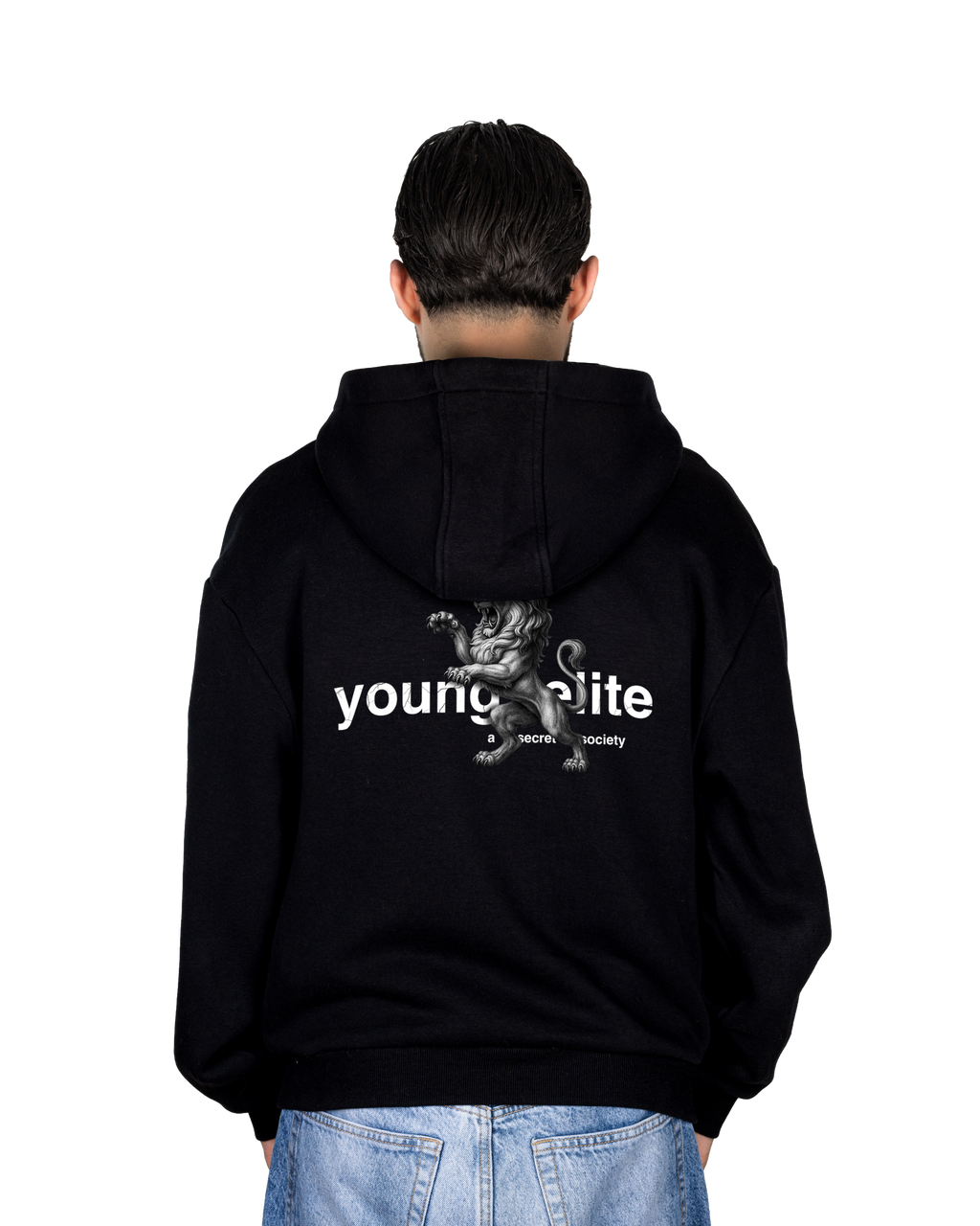 Lions Hoodie image 3